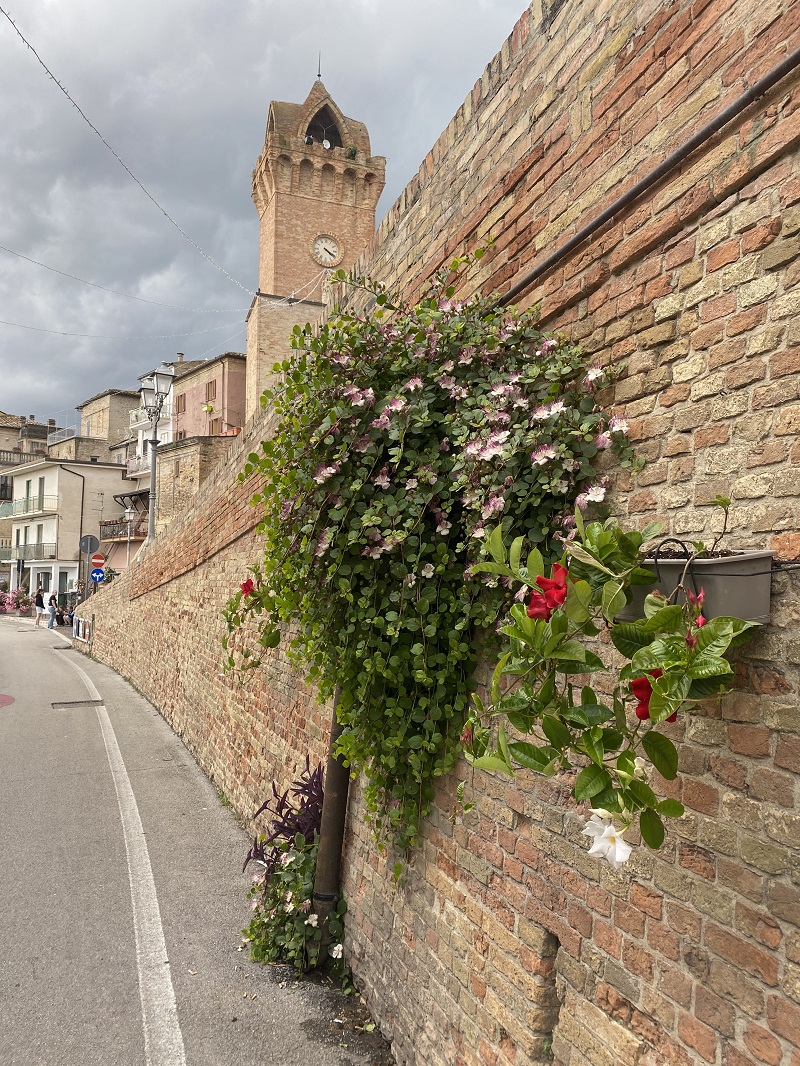 italie 8