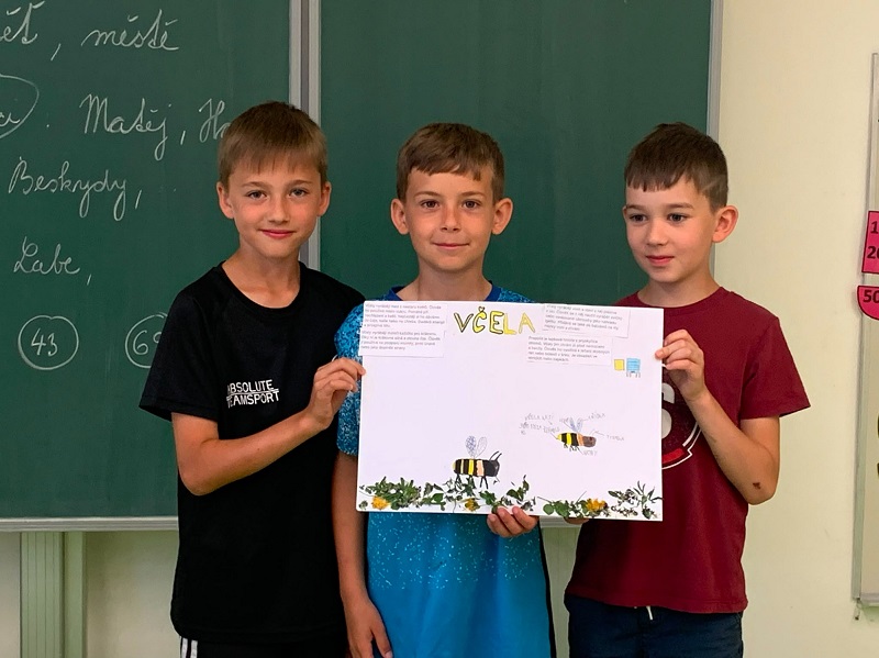 vcely 1