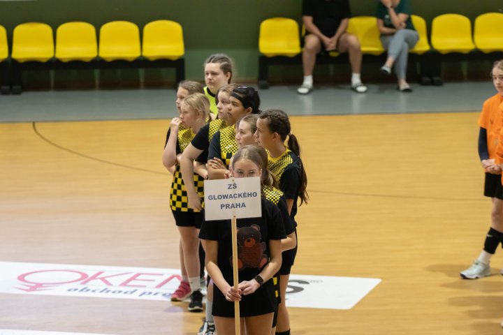 Republikové finále školského poháru v házené