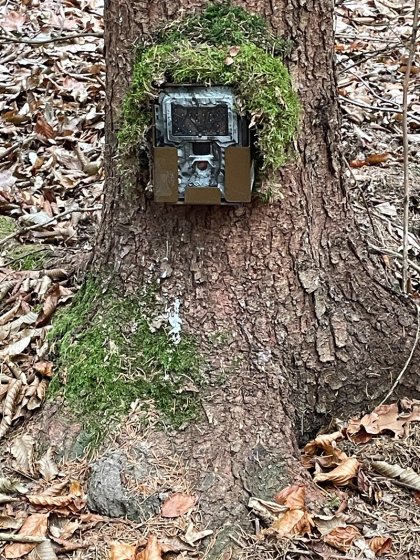 Ekologický program "Prales dětem", naše výprava "monitorování zvířat v krajině"